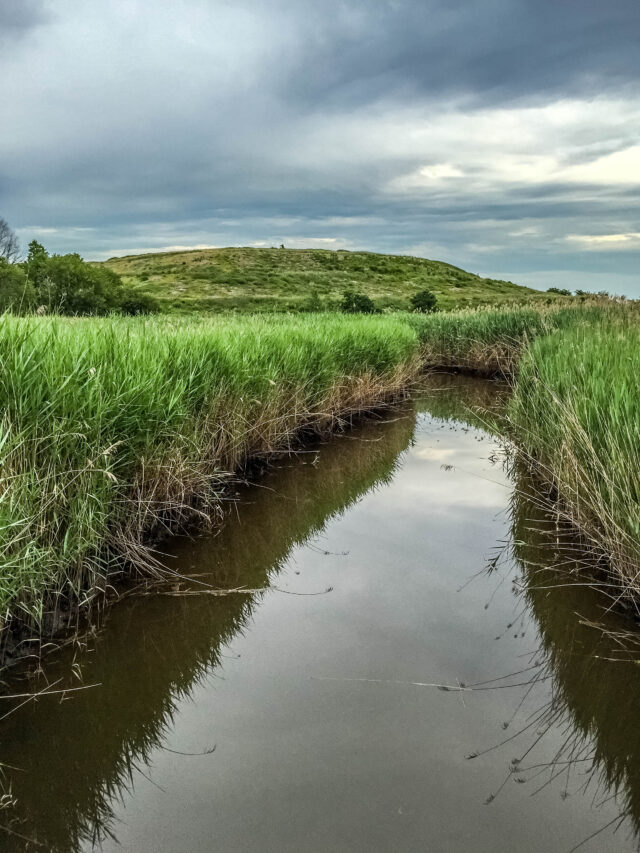 “Creek with Abandoned Landfill”