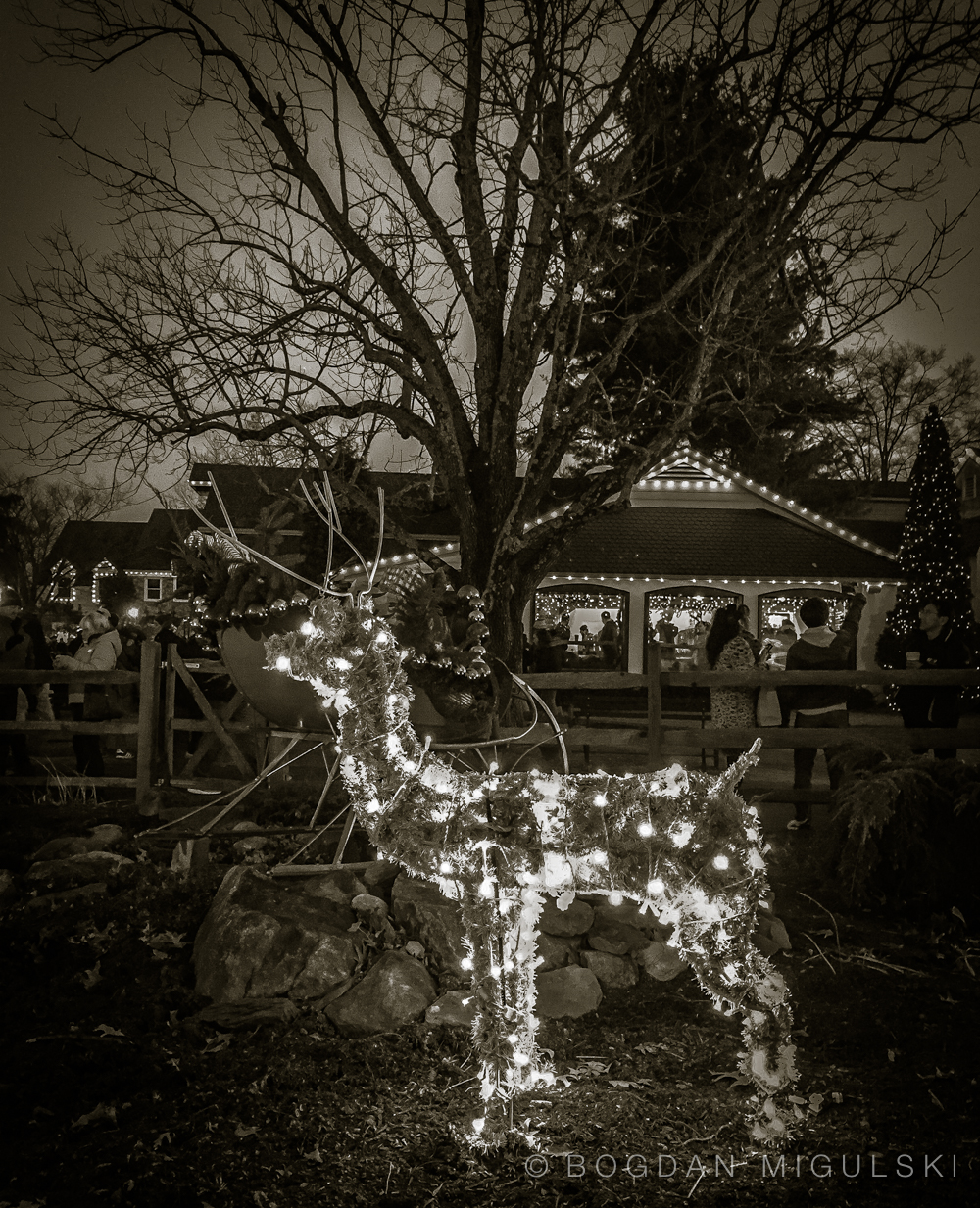 Lahaska Christmas Deer, Peddler’s Village