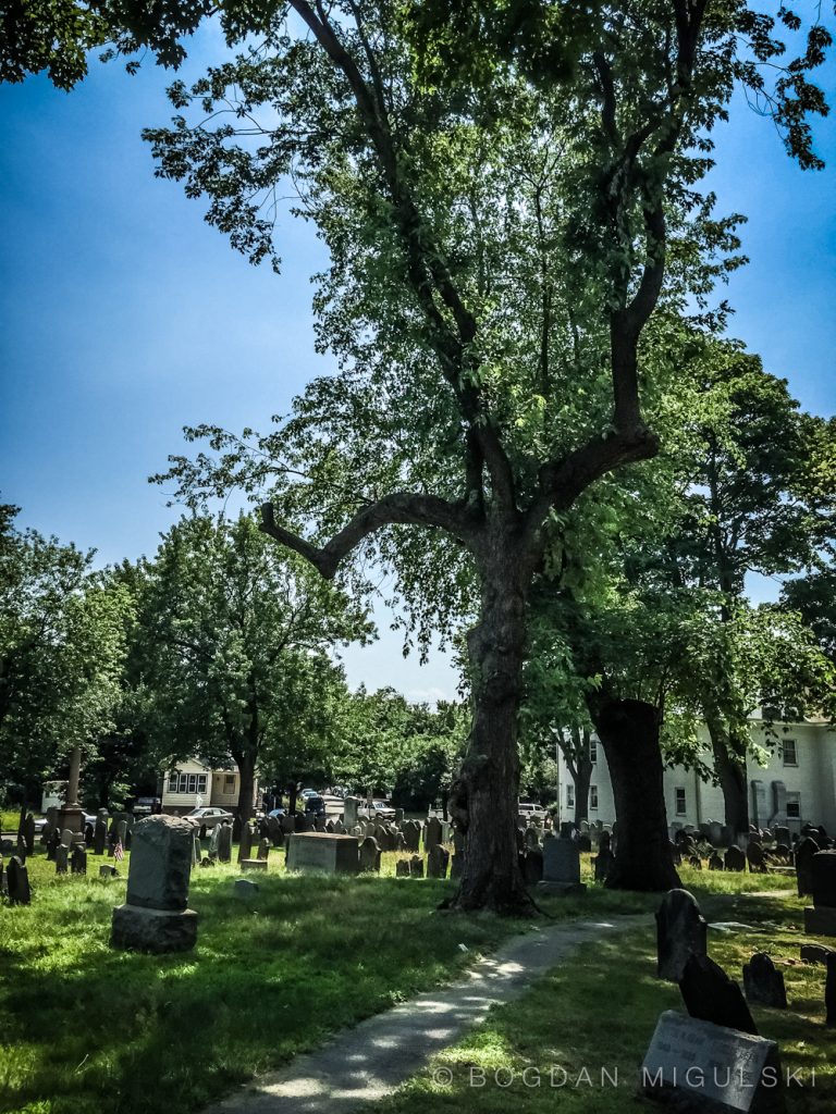 First Presbyterian Church Cemetery, Woodbridge, New Jersey.