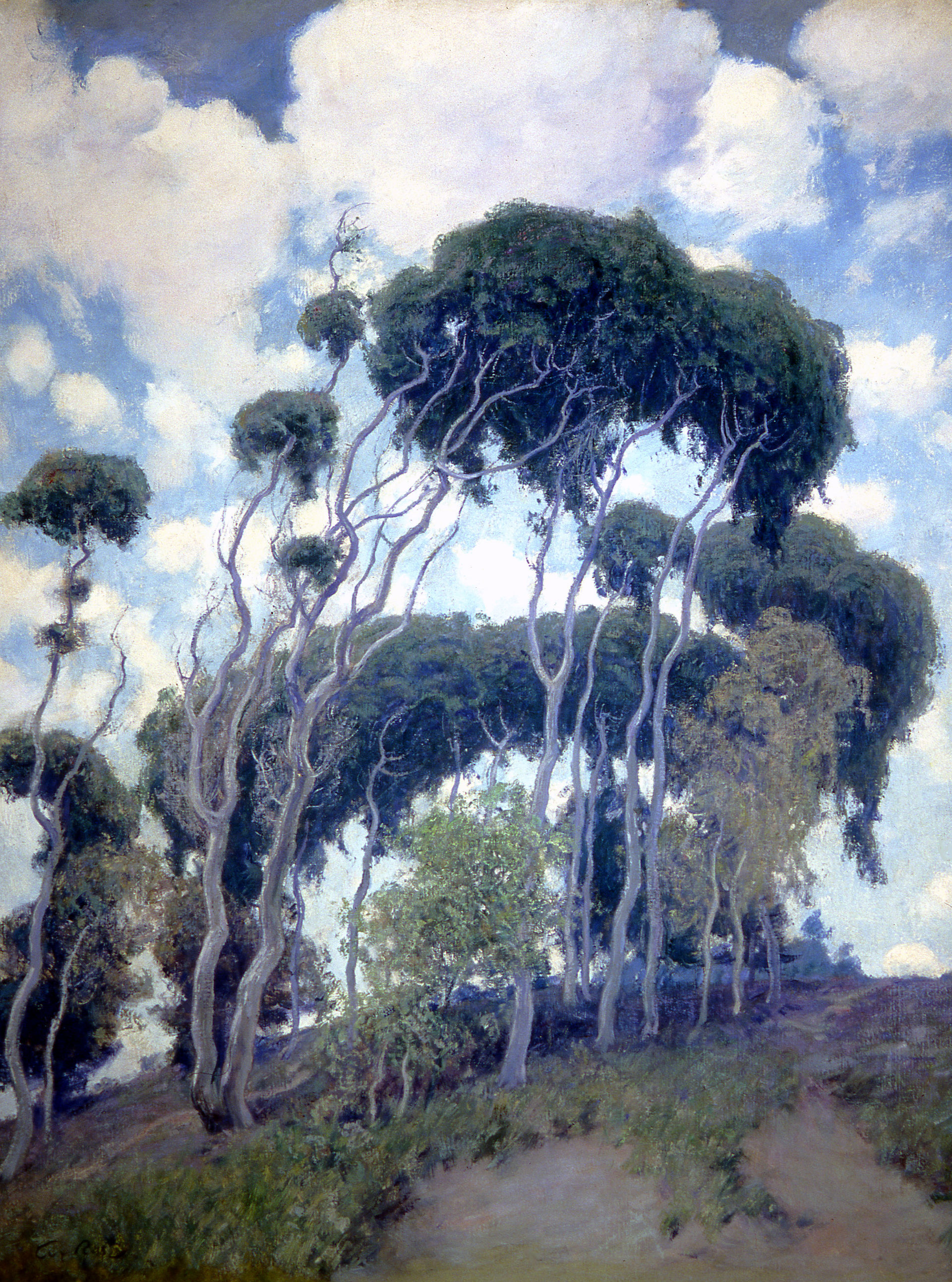Inspiration: “Laguna Eucalyptus,” by Guy Rose