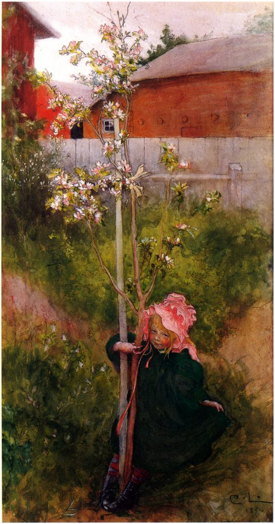 "Äppelblom," by Carl Larsson.