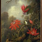 "Hummingbird and Passionflowers," by Martin Johnson Heade.