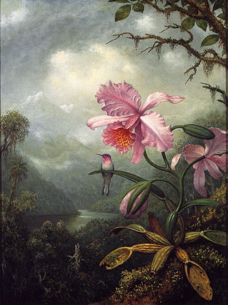Inspiration: “Hummingbird Perched on an Orchid Plant,” by Martin Johnson Heade