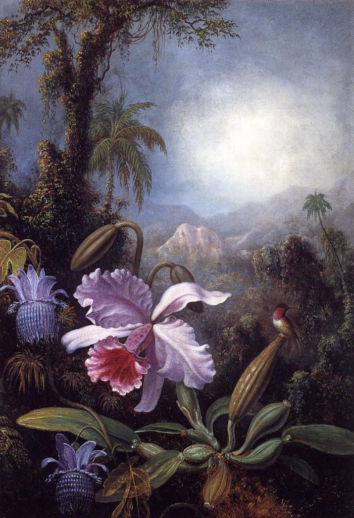 "Orchids, Passion Flowers and Hummingbirds," by Martin Johnson Heade.
