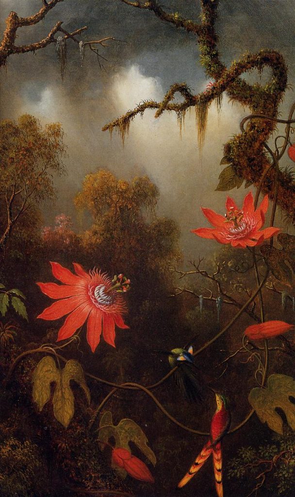 "Two Hummingbirds Perched On Passion Flower Vines," by Martin Johnson Heade.