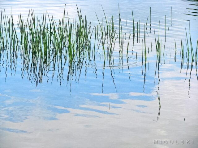 Calm Waters: Round Valley Reservoir