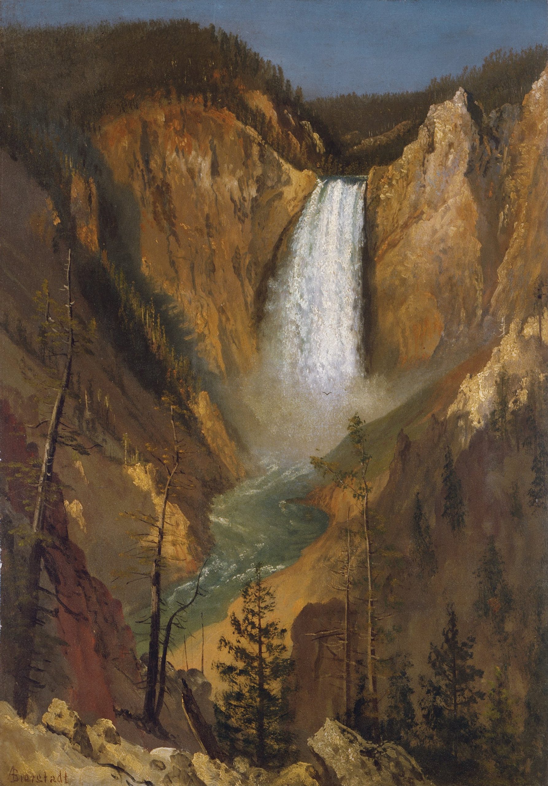 "Lower Falls of the Yelloswtone," by Alberst Bierstadt.