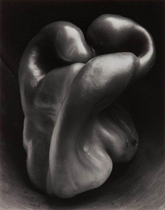 Biography: Edward Weston