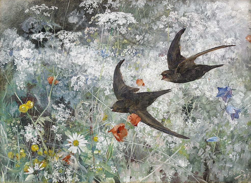 "Common Swifts," by Bruno Liljefors.