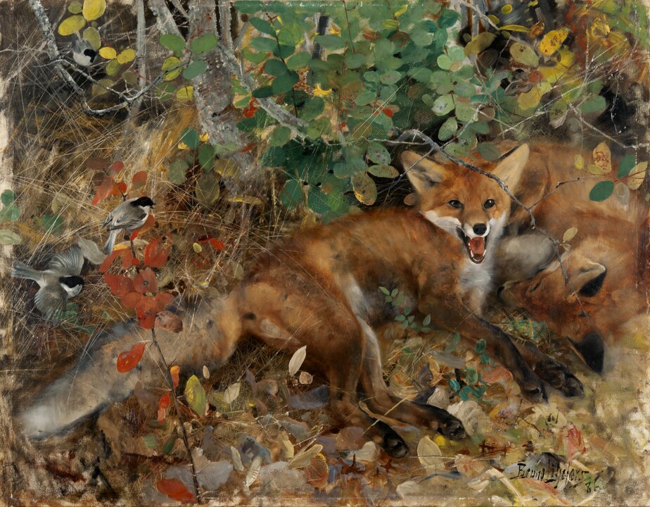 "Foxes," by Bruno Liljefors.