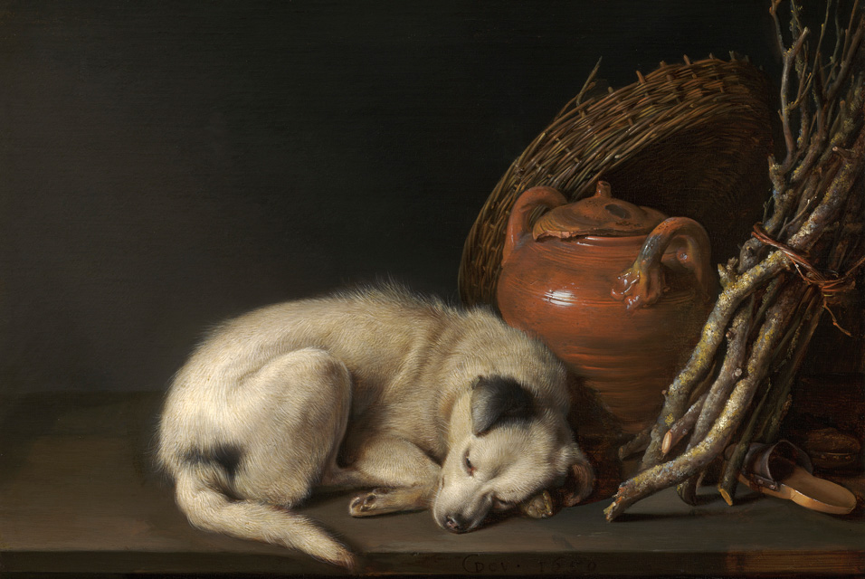 "Sleeping Dog," by Gerrit Dou.