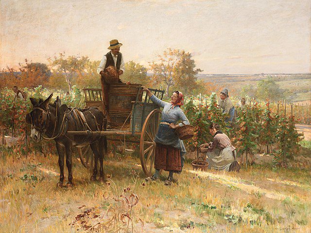 "The Grape Harvest," by Ardrien Moreau.