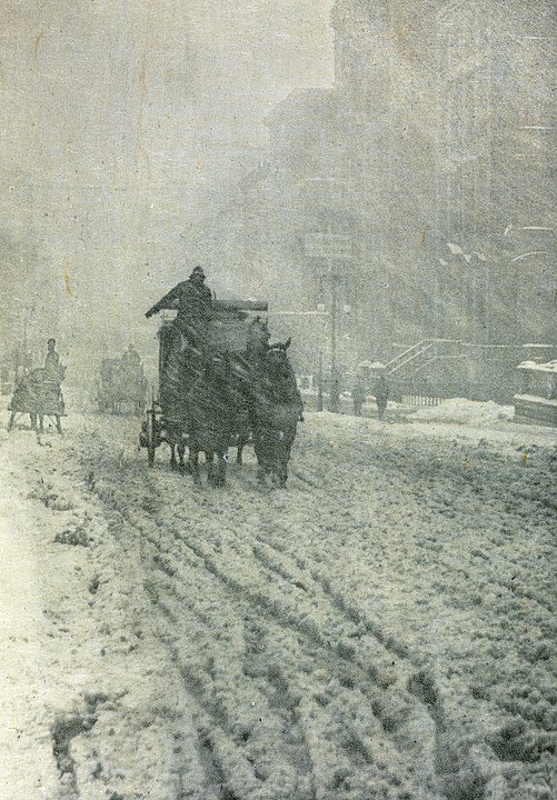 Biography: Alfred Stieglitz