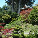 A typical Japanese garden.