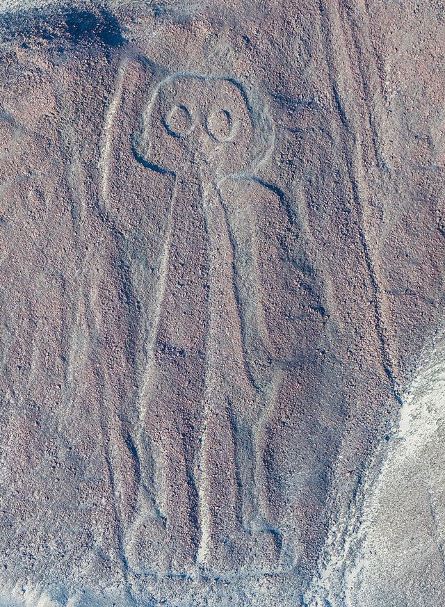 Unraveling the Mystery of the Nazca Lines