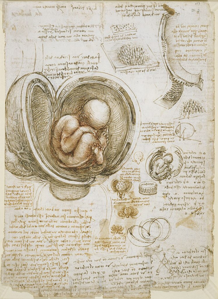 Leonardo da Vinci's study of a baby in the womb.