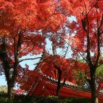 Mitaki-dera temple in Hiroshima, Japan.