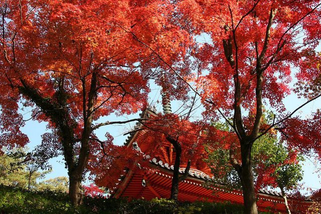 Mitaki-dera temple in Hiroshima, Japan.