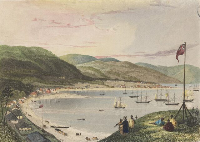 Wellington: The History of its Art