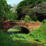 The Old Bridge in Kolkata Botanical Garden.