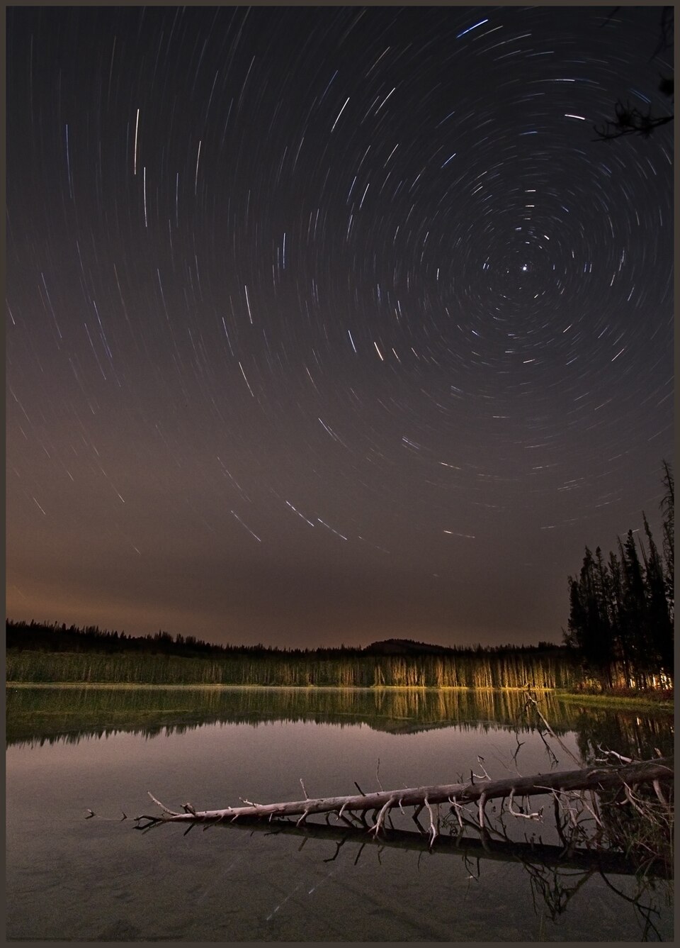 Idaho: The History of its Art