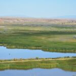 Pariette Wetlands, Utah.