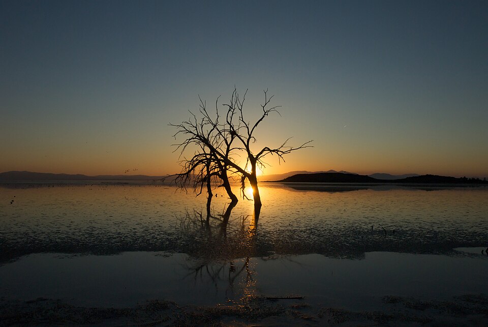 The Salton Sea, California, United States.