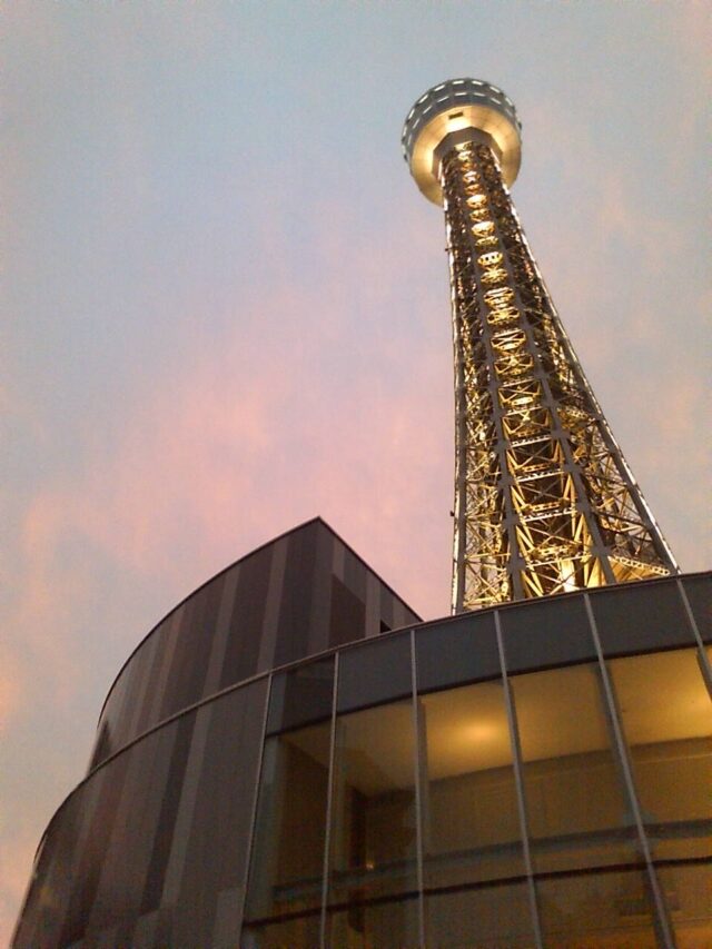 Yokohama: The History of its Art