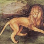 "Lion," by Albrecht Dürer.